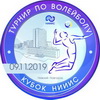 Второй открытый турнир по волейболу «Кубок НИИИС-2019»